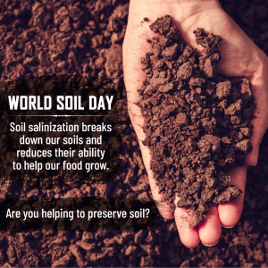 A hand holding dark soil with text promoting World Soil Day and awareness about soil salinization.