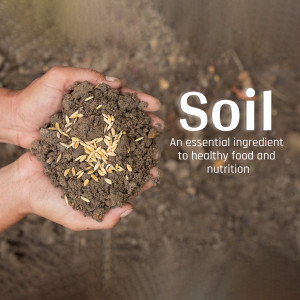 Hands cupping soil with seeds, with the word 'Soil' prominently displayed.