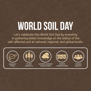 World Soil Day graphic with icons representing healthy soils, plant growth, climate change adaptation, water purification, and human health.