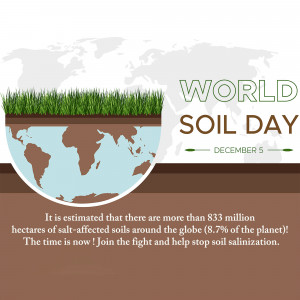 Illustration of the Earth with a cross-section showing soil layers and text promoting World Soil Day.