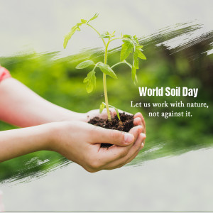 Hands holding soil with a seedling, celebrating World Soil Day.