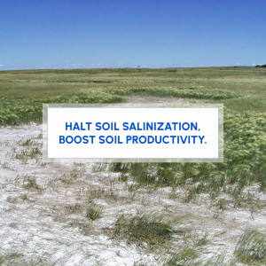 Image showing dry, salt-affected land with a text overlay promoting soil health.