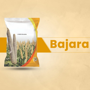 Packaging of Bajara Hybrid Seeds