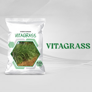 White plastic bag of Vitagrass fertilizer with green and brown hexagonal image of grass.