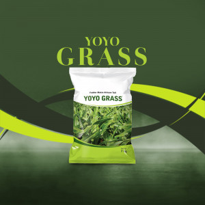 Package of Yoyo Grass seed with green and white design