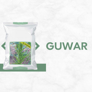 A silver packet of Guwar seeds with an image of the plant on the front.