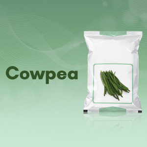 White packaging bag with the word 'Cowpea' and an image of cowpea seeds inside.