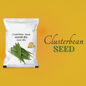 Package of Clusterbean Seeds with green beans illustration