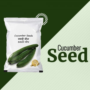 A white packet of cucumber seeds with an image of cucumbers and text in English and Hindi.