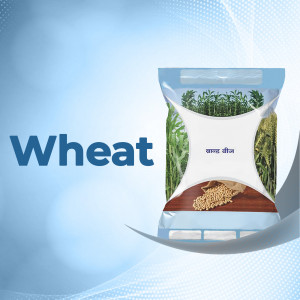 Image of a wheat seed packaging bag with wheat stalks and grains.