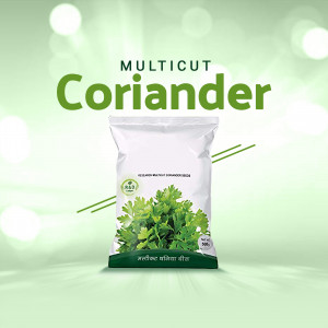 Image of a Multicut Coriander seed packet with green accents.