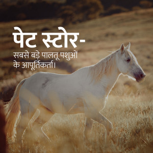 White horse running in a field with text in Hindi