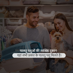 A smiling couple with their small dog in a pet store, looking at a pet carrier.