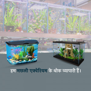 Two aquariums with colorful fish and aquatic plants, displayed in a shop.