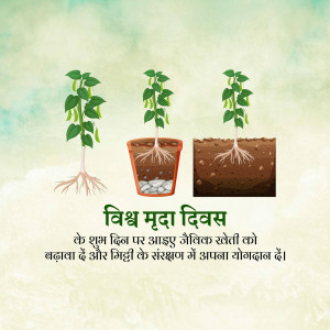 Illustration of a pulse plant growing from seed to mature plant with roots, with text in Hindi celebrating World Pulses Day.