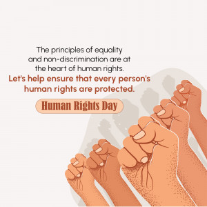 Diverse hands raised in solidarity with the text 'The principles of equality and non-discrimination are at the heart of human rights.'
