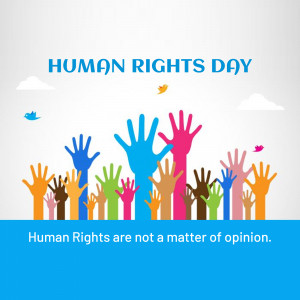 Illustration depicting diverse hands raised in support of Human Rights Day.