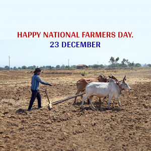 A farmer plowing a field with oxen on National Farmers Day
