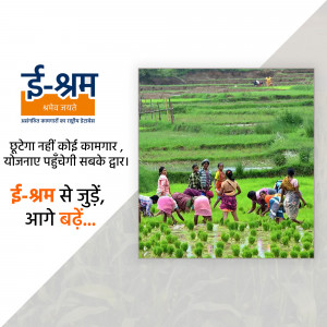 Image of farmers working in a paddy field with the e-Shram logo and text promoting the portal.