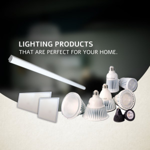 Assortment of energy-efficient light bulbs and panels