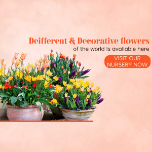 A vibrant display of colorful tulips and daffodils in pots, promoting a nursery visit.