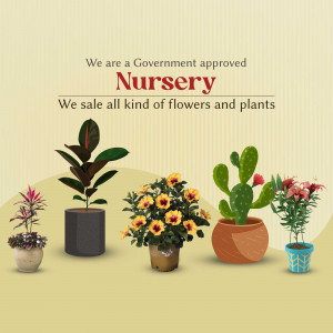 Assortment of potted plants and flowers with text 'Government Approved Nursery'