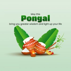 Pongal festival greeting with traditional pot and decorations