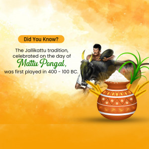 Image depicting Jallikattu bull taming and Mattu Pongal celebration with a bull, rice, and harvest elements.
