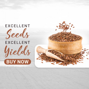 Flax seeds in a wooden bowl with a scoop and text 'Excellent Seeds Excellent Yields Buy Now'