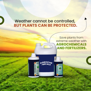 Agrochemicals and fertilizers for plant protection against weather damage