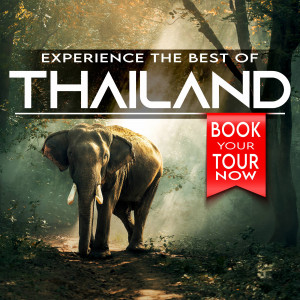 Elephant in a lush Thai jungle with travel advertisement