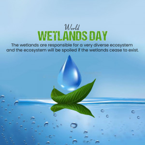 World Wetlands Day graphic with a water droplet on a leaf