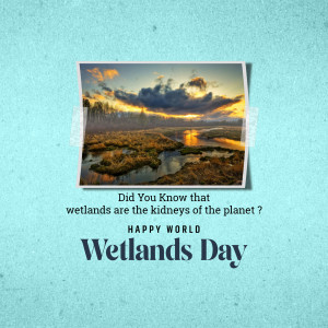 Image depicting a wetland landscape with text 'Did You Know that wetlands are the kidneys of the planet?' and 'Happy World Wetlands Day'