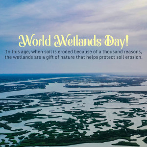 Aerial view of wetlands with text 'World Wetlands Day!'