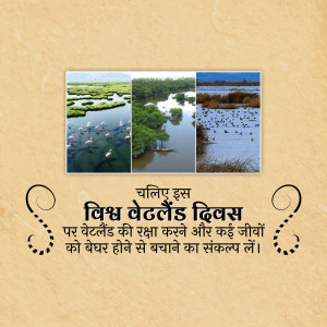 Collage of wetland scenes with text celebrating World Wetlands Day