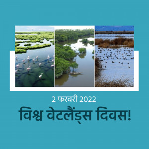 Collage of wetland scenes with text celebrating World Wetlands Day