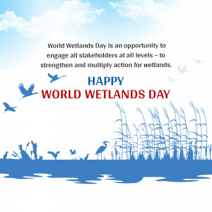 World Wetlands Day graphic with birds and wetland vegetation