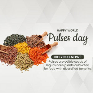 Assortment of colorful pulses and lentils with a wooden scoop