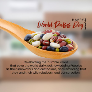 A wooden spoon filled with various types of pulses and beans, celebrating World Pulses Day.