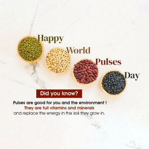 Assortment of pulses in small bowls with text celebrating World Pulses Day