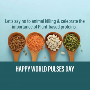 Four wooden spoons filled with different types of pulses - lentils, red lentils, white beans, and green peas - with text promoting plant-based proteins and celebrating World Pulses Day.