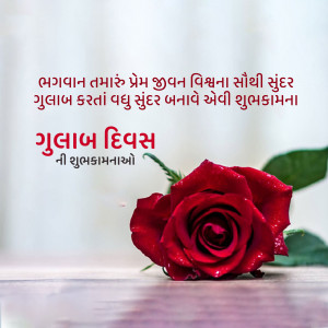 A single red rose with Gujarati text wishing Happy Rose Day