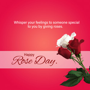 Image of red and white roses with a Rose Day greeting.