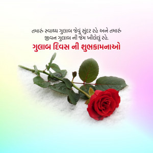 A red rose with green leaves on a white and gradient background with Gujarati text wishing a happy Rose Day.