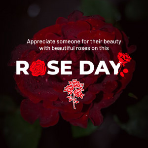 Close-up of a dark red rose with text 'Rose Day' and 'Appreciate someone for their beauty'
