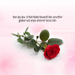 A single red rose with water droplets resting on a bed of snow.