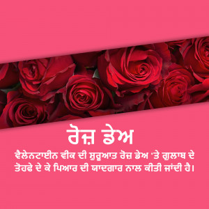 Close-up of a bouquet of vibrant red roses with text overlay