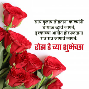 Close-up of red roses with Marathi text wishing a good morning