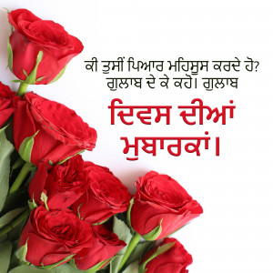 Close-up of red roses with text in Punjabi script