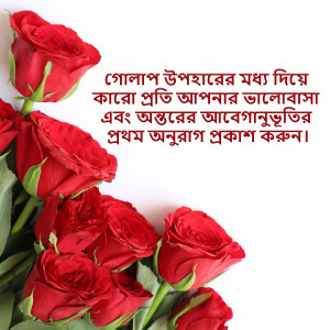 A bouquet of red roses with Bengali text overlay